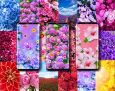 Summer flowers live wallpaper screenshot 2