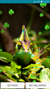 Live Wallpapers - Chameleon screenshot 5