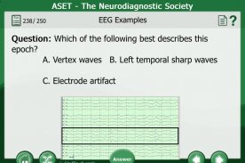 Q&A Flashcard Study Application for EEG screenshot 2