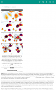Cytology screenshot 5