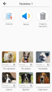 Породы собак – Фото-тест screenshot 5