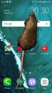 स्क्रीन पर चूहों मजाक screenshot 9