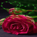 Green Heart Rose LWP