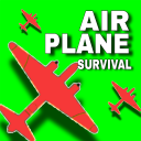 Airplane Survival game