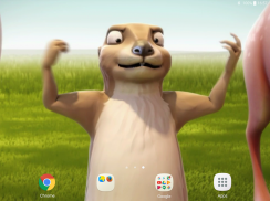 Funny Beaver Live Wallpaper screenshot 10