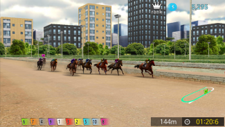 Pick Horse Racing screenshot 5