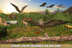 Wild Owl Bird Family Survival screenshot 10