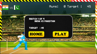 Blokstok Cricket screenshot 1
