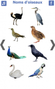 les noms des oiseaux avec photos et bruit oiseau screenshot 1