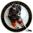 Anaheim Hockey - Ducks Edition Icon