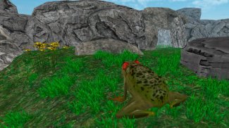 Rain Forest Animals - Wild Frog Survival Sim screenshot 1