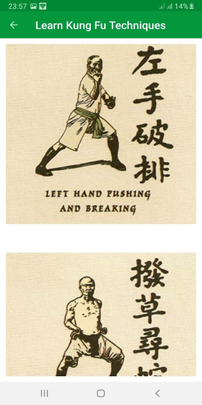 basic kung fu steps