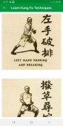 Learn Kung Fu Techniques screenshot 3