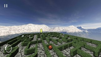 Doolhof 3D Labyrint screenshot 9