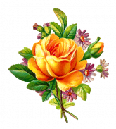 Wonderful Flowers Roses images Gif screenshot 6