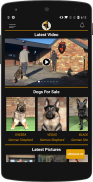 Protection Dogs screenshot 6