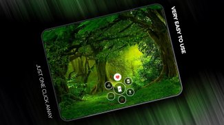Forests wallpaper in 4K screenshot 4