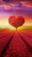 10000 Nature Wallpapers screenshot 14