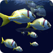 Fish Schooling VR screenshot 7