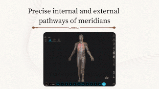 Acupuncture Master screenshot 17