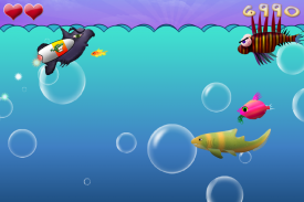 Hungry Fish 3 screenshot 1