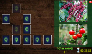 All Vegetals Pairs Memory Game screenshot 3