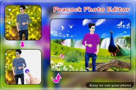 Green Hill Photo Editor screenshot 13