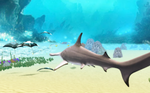 The Hammerhead Shark screenshot 20