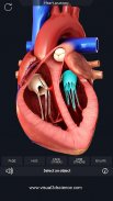 Heart Anatomy Pro. screenshot 0
