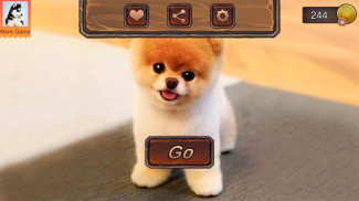 Pomeranian Dog Simulator screenshot 4