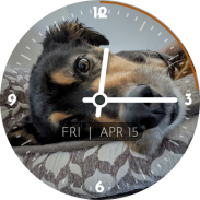 Photo Wear Android Watch Face screenshot 7
