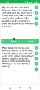 Slovak - English Translator screenshot 3