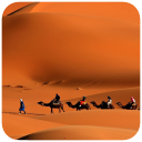 Desert Wallpaper Icon