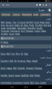 English Persian Dictionary screenshot 3
