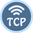 TCP Socket