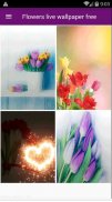 Flowers live wallpaper free screenshot 0