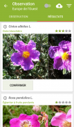 PlantNet Identification Plante screenshot 1