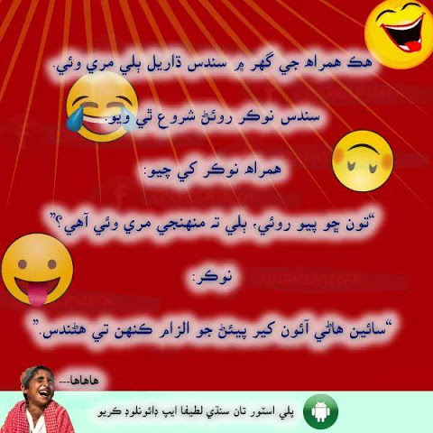 Sindhi cheap jokes video