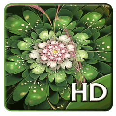 Magic Flower Live Wallpaper 112 Download Apk For Android Aptoide