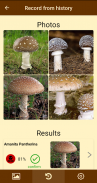 Fungus - Identification of fungi screenshot 3