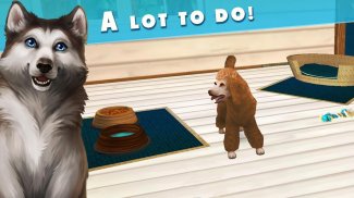 Pet Hotel – La mia pensione per adorabili animali screenshot 5