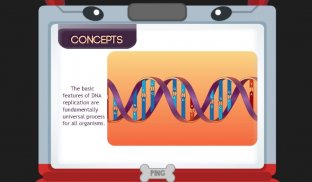 DNA Replication screenshot 2