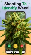 Kush Scan: AI Weed Identifier screenshot 16