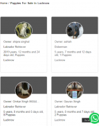 Pets For Sale – Animals, Puppies, Dogs For Sale screenshot 2