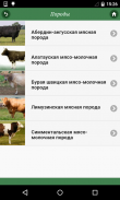 Крупный рогатый скот screenshot 0