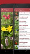 Wild Berries and Herbs 2 LITE screenshot 11