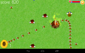 menangkap lebah screenshot 1