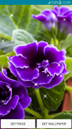 живые обои фиолетовый цветок screenshot 5
