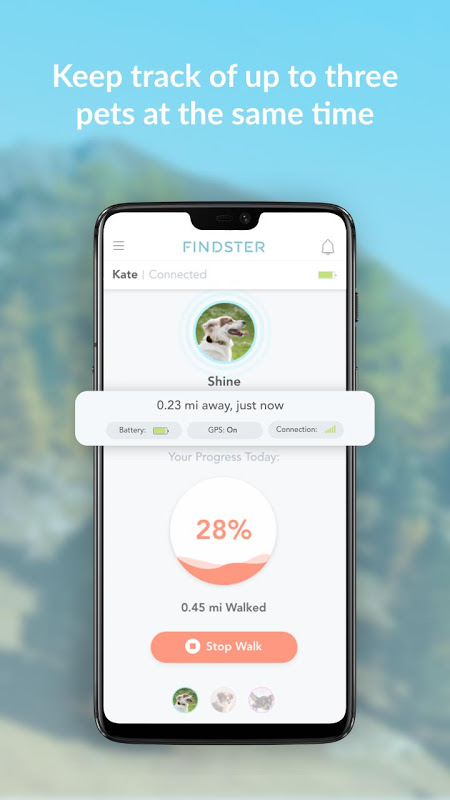 Findster tracker best sale