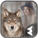Wolf Photo Frames Icon